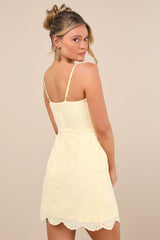 Modern Romantic Light Yellow Eyelet Lace Mini Dress