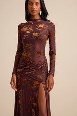 Charlize Brown Sheer Mesh Velvet Burnout Maxi Dress